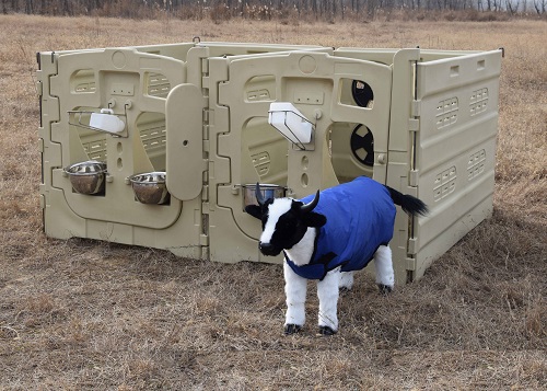 Mobile Calf Pens for Rotational Grazing