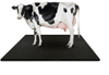 Calf Mat