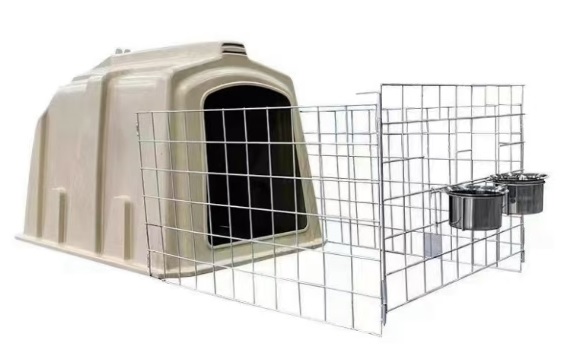 牛犊岛白底