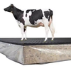 Foam cow mattress