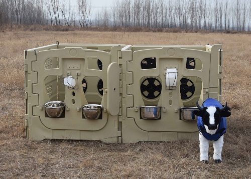 Antimicrobial Calf Pen for Hygiene
