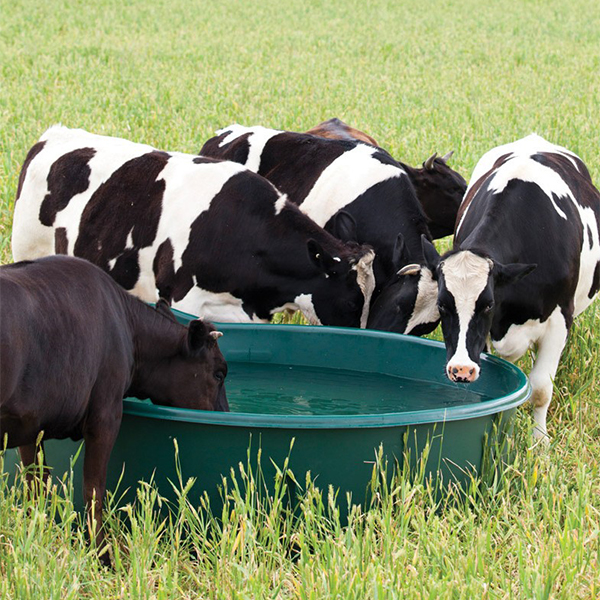 Master Tub Poly Trough