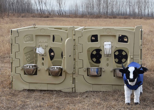 Easy-to-sanitize Plastic Calf Pens