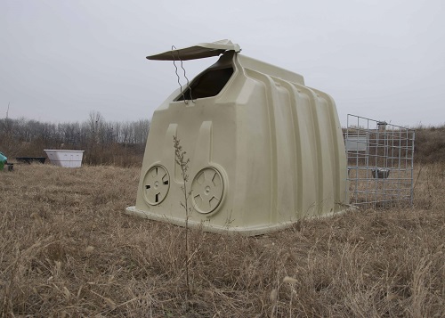 Outdoor Single Calf Hutch Solutions