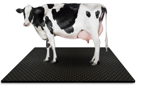 Cow mat and cattle mattress