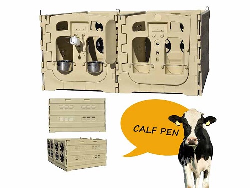 Calf Pen for Beef Cattle