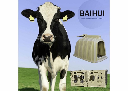 How Long Do Outdoor Calf Hutches Last?