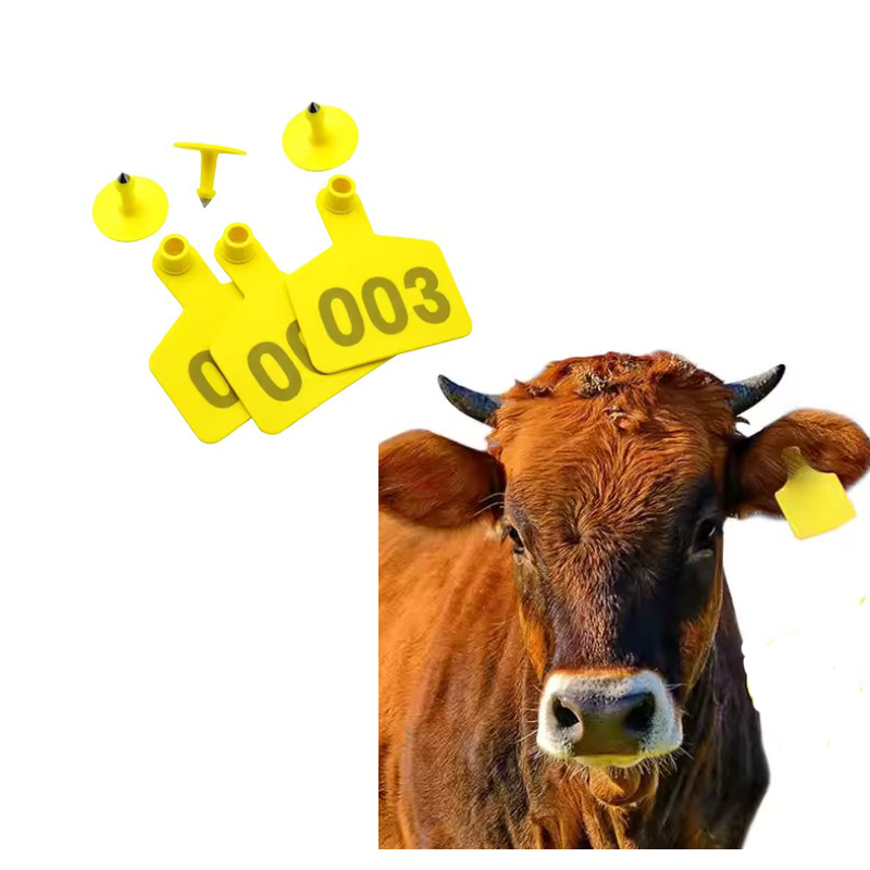 Cattle Ear Tag