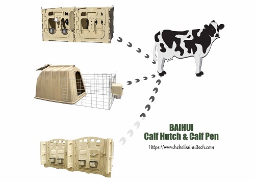 Why Plastic Is The Ideal Material for Calf Hutche