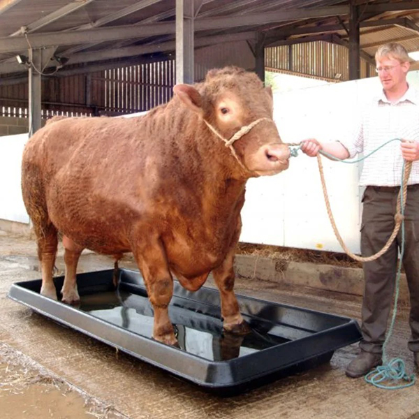 Plastic Commercial Cattle Foot Bath